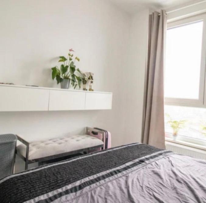 Super Apartment Empuriabrava Eksteriør bilde